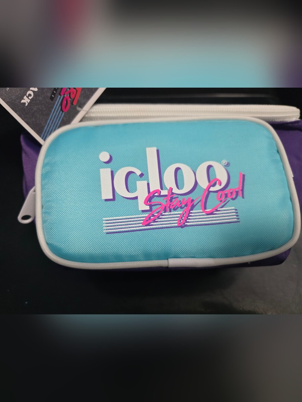 Igloo Retro Turquoise Cooler Fanny Pack